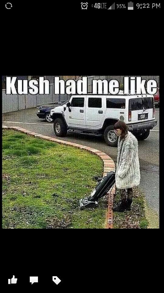 Top 10 Funny Marijuana Memes at Weed Memes 2015 - Weed Memes