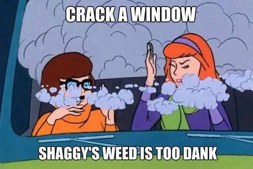 shaggy-weed-meme.jpg