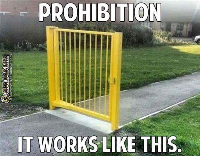 Image result for funny prohibition memes