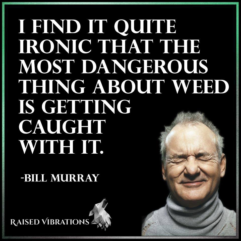 25 Inspirational Weed Quotes!