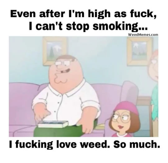 Image result for picture of peter griffin family guy smoking a joint