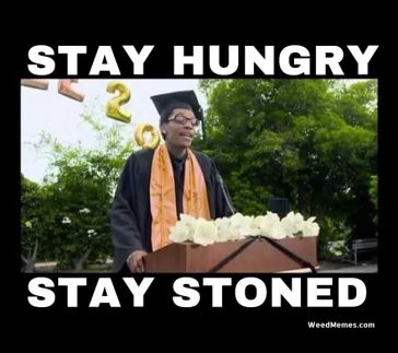 Wiz Khalifa Graduation Stay Hungry Stay Stoned Weed Memes