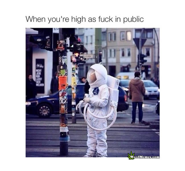 High in public meme