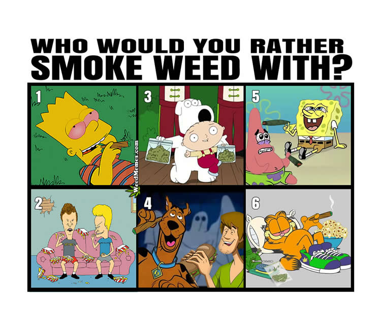 Who Would You Rather Smoke With Stoner Cartoons Weed Memes