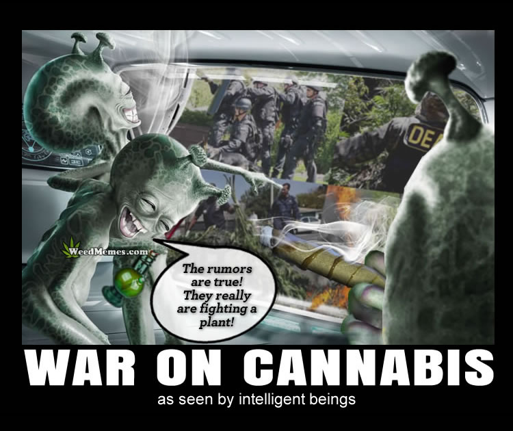 War on Cannabis Alien Laughing