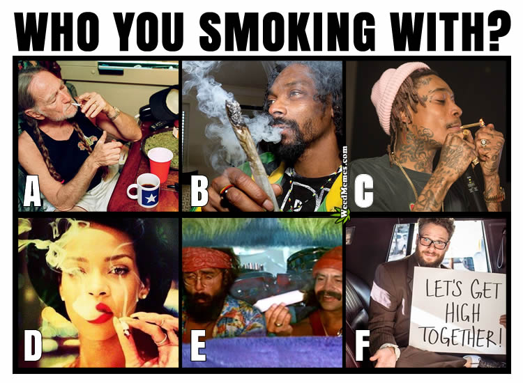 Who Would You Rather Smoke Weed With? Stoner Celebrities Smoke Sesh