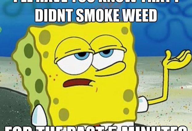 Funny Weed Memes & Stoner Humor. Best Funny Weed Memes.