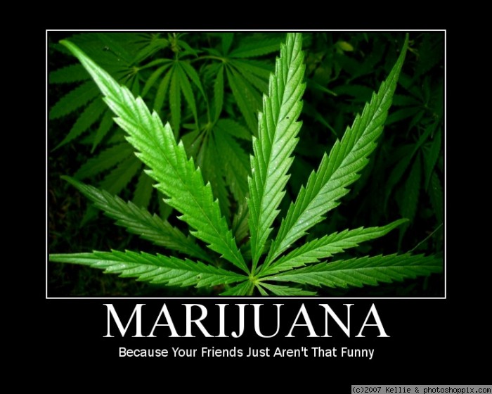 Friends Not That Funny Weed Memes 2195