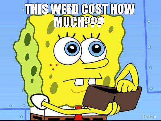 Spongebob Weed Meme Weed Memes