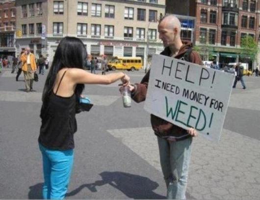 Help! Need Money For Weed Help The Weedless Pot Memes
