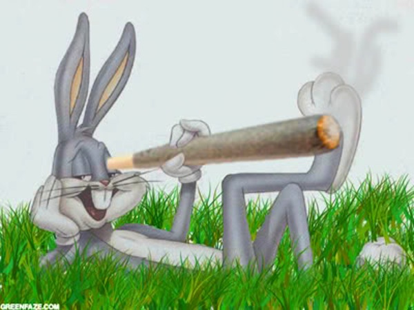 Weed Memes | Marijuana Memes | Smoking Pot memes | Legalize Cannabis Memes Bugs...