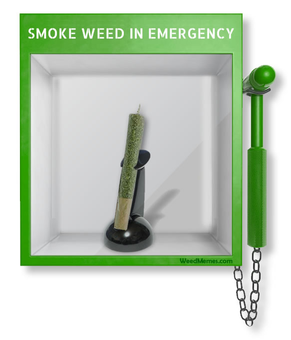 Smoke Weed In Emergency Break Glass Weed Meme