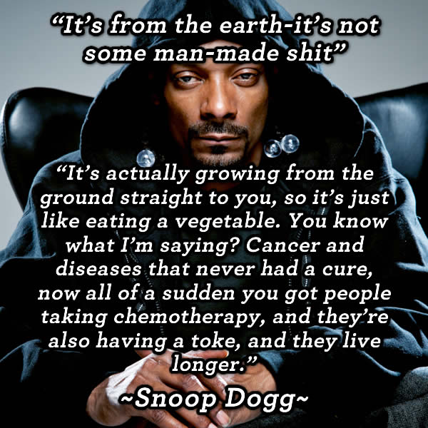 Snoop Dogg Weed From Earth Marijuana Quote Meme