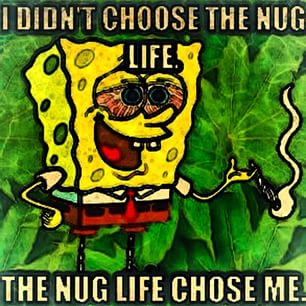 Spongebob The Nug Life Chose Me Smoke Pot Weed Memes