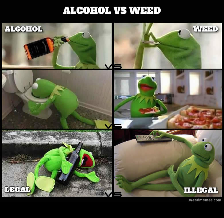 Kermit Weed Memes | Kermit Muppet Marijuana Memes | Alcohol Vs Weed Mem...
