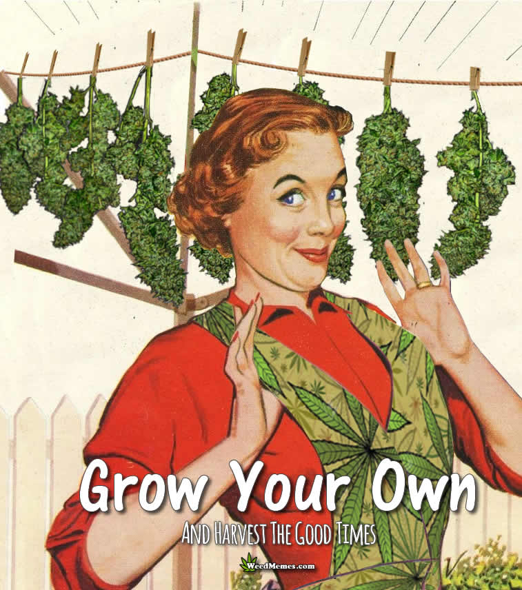 Growing Your Own Food Is Like Telling The System To Go Fuck Itself