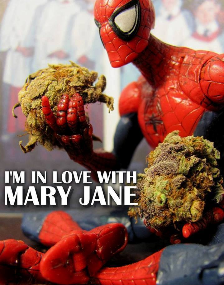 Spiderman Loves Mary Jane Funny Marijuana Memes. 