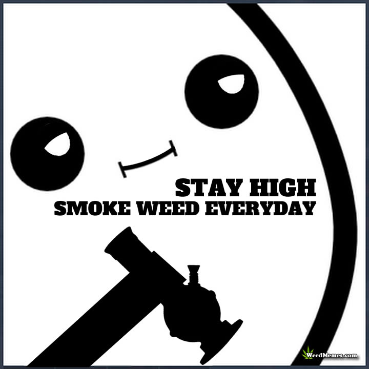 Smoke Weed Everyday Weed Memes