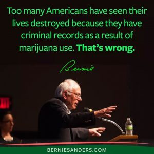 Bernie Sanders Marijuana Quote Criminal Records