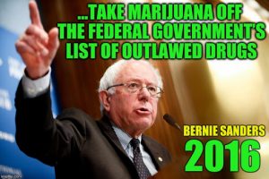Bernie Sanders Weed Quote Prohibition