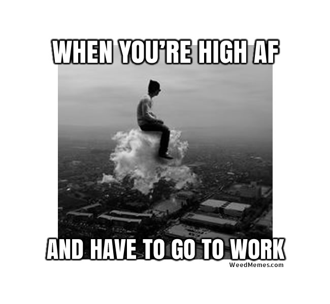 High AF Memes | Go to Work Stoned Memes | Funny Weed Memes | High ASF Float...