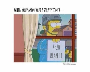 Simpsons 420 Memes Stray Stoner