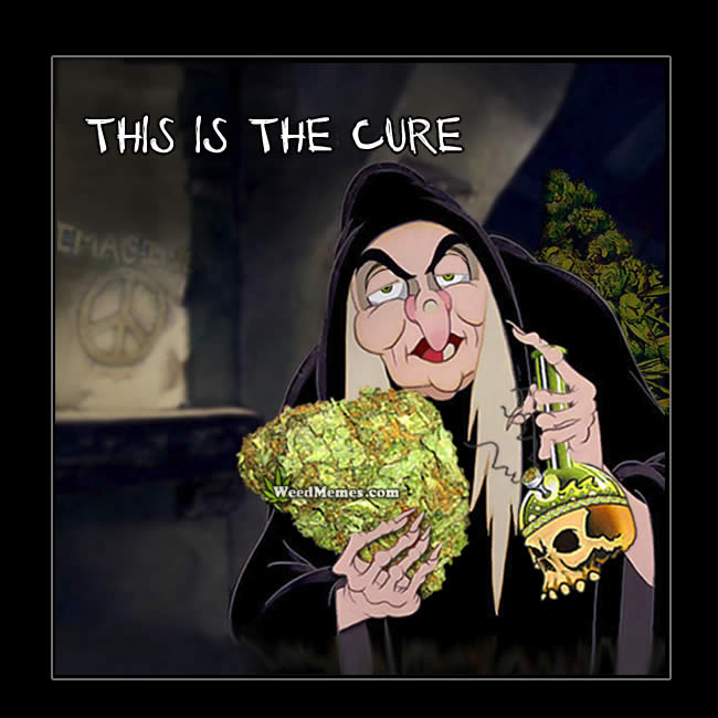 Snow White Cure Witch WeedMemes - Weed Memes