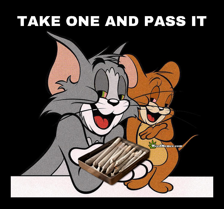 Cats Laughing At Communism Tom And Jerry Know Your Meme