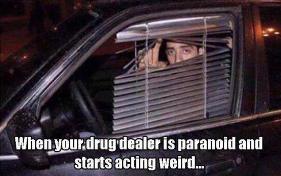 When Weed Man Is Paranoid Funny Weed Memes Stoner Humor