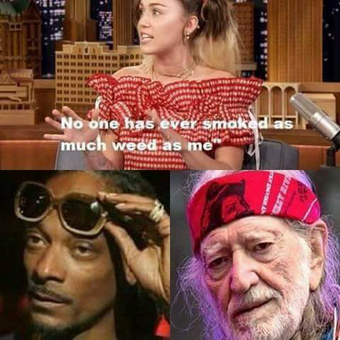 Who Smoked Most Weed Willie Snoop Miley Funny Pothead Memes