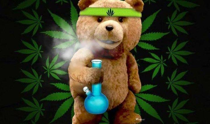 Teddy Bear 420 Memes - Weed Memes