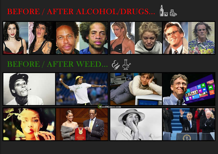 Weed vs Alcohol / Drugs Comparison | Weed Memes | Marijuana Memes | Pot .....