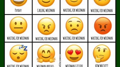 Emojis For Stoners and Potheads Weed Memes - Weed Memes