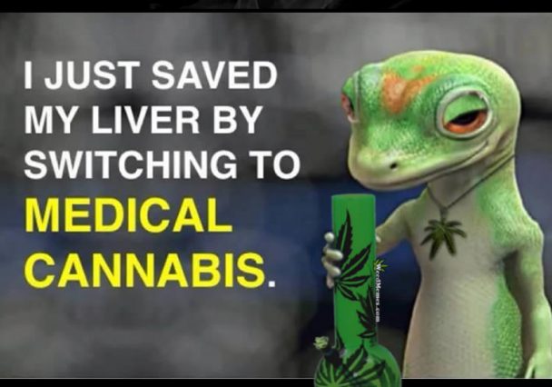 Gekko Stoner Saved Liver By Switching To Medical Cannabis ...