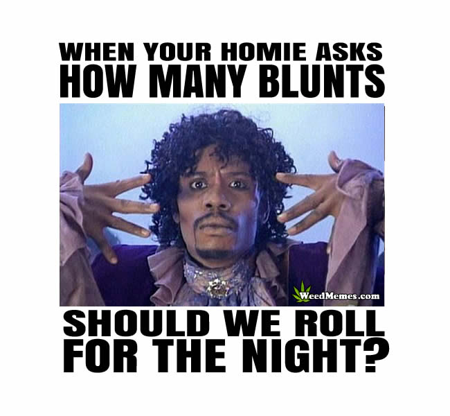 Rolling Blunts Weed Memes | Dave Chappelle Pothead Humor | Rick James Funny ...