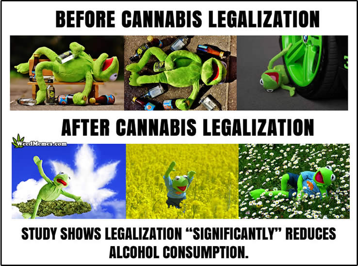 Weed Is Safer Than Alcohol Pics | Truth About Weed Memes | Stoner Kermit Th...