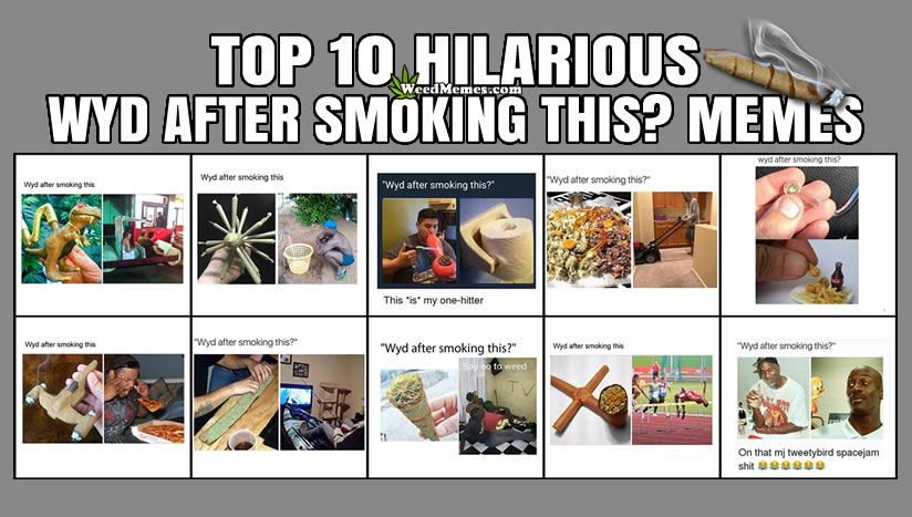 Top10 Wyd After Smoking Memes