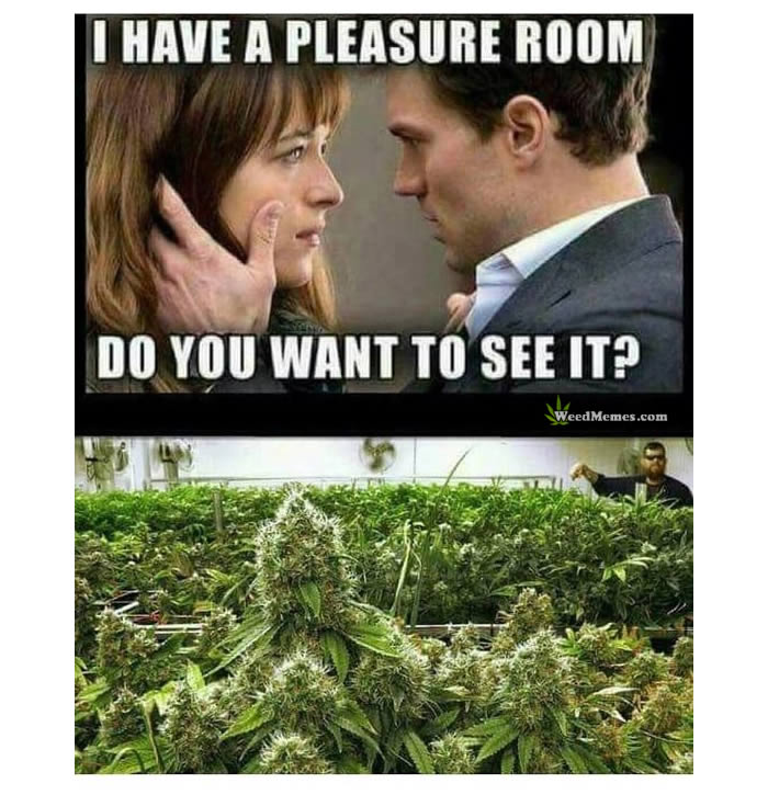 Fifty Shades Of Grey Pleasure Room Funny Weed Memes Weed Memes