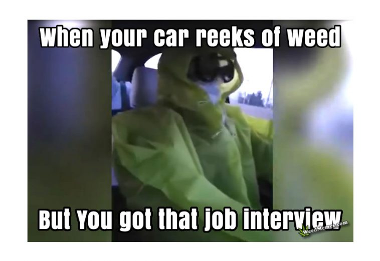 When Your Car Reeks Of Weed Meme Weed Memes