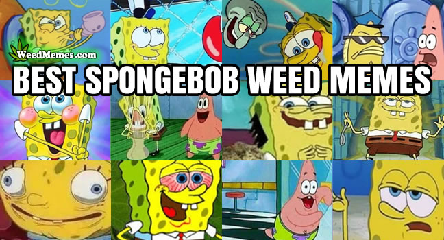 Spongebob Weed Memes