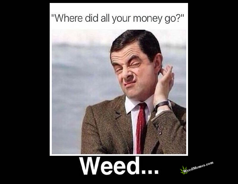 Mr Bean Where Did All Your Money Go Funny Weed Memes Weed Memes