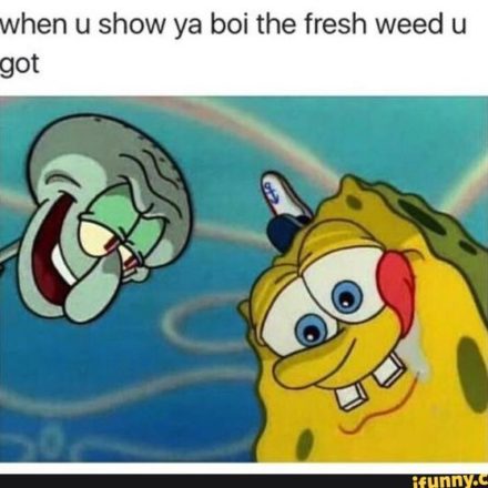 Weed made Spongebob Funny Marijuana Memes - Weed Memes