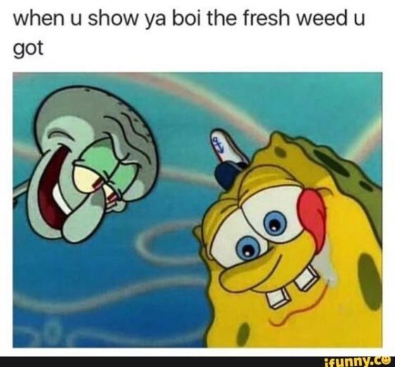 The Best Stoner Spongebob Funny Weed Memes - Weed Memes