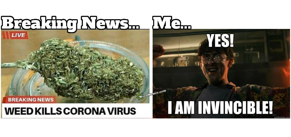 Weed Kills Coronavirus Weed Memes - Weed Memes