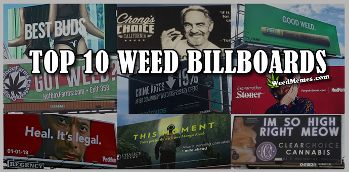 Top 10 Best Weed Billboards