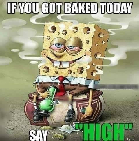 Weed Meme Spongebob