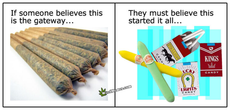 For Those Who Believe Weed Is A Gateway Weed Memes Weed Memes